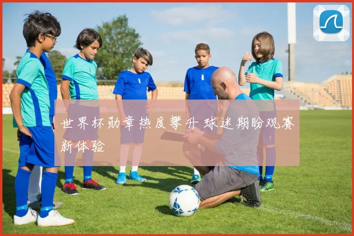 世界杯勋章热度攀升 球迷期盼观赛新体验