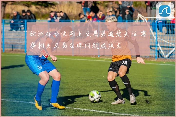 欧洲杯合法网上交易渠道受关注 赛事相关交易合规问题成焦点