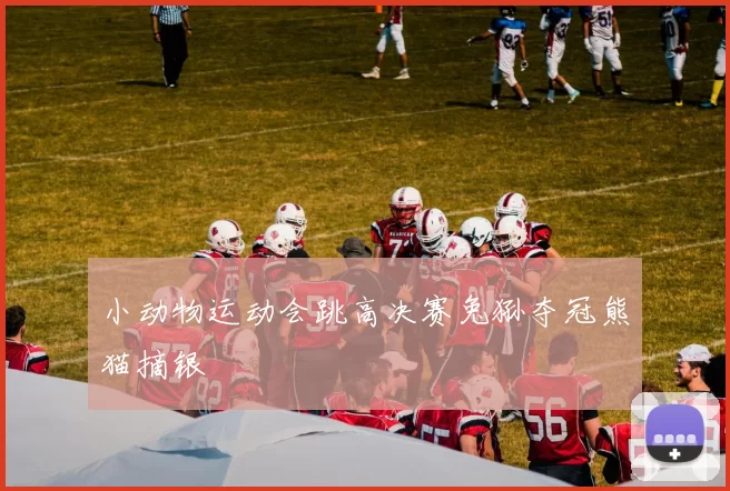 小动物运动会跳高决赛兔狲夺冠熊猫摘银