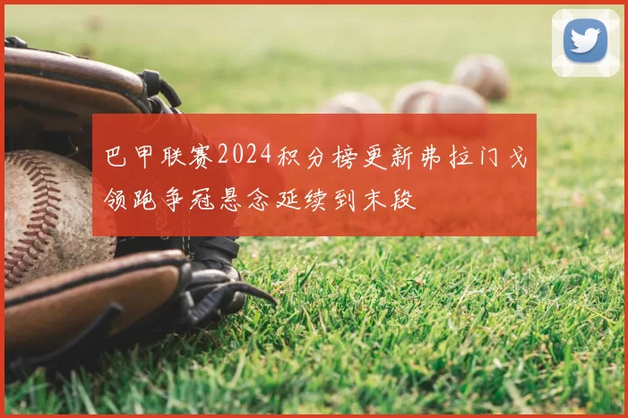 巴甲联赛2024积分榜更新弗拉门戈领跑争冠悬念延续到末段