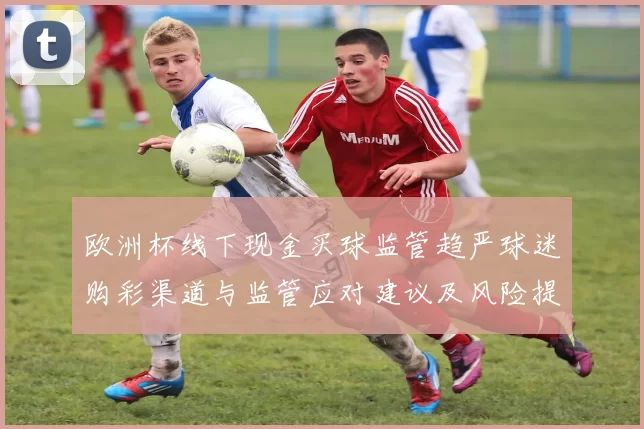 欧洲杯线下现金买球监管趋严球迷购彩渠道与监管应对建议及风险提示